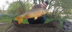 Mirror Carp