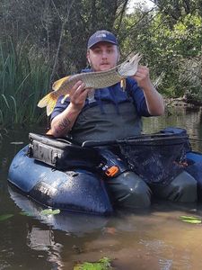 Northern Pike