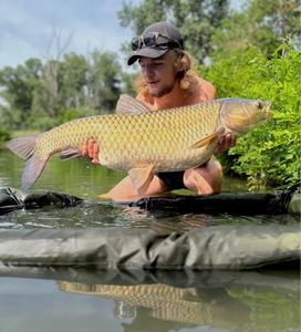 Grass Carp