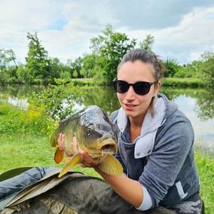 Mirror Carp