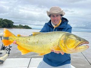 Dorado