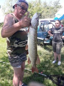 Northern Pike