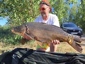 Mirror Carp