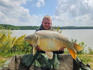 Mirror Carp