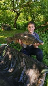 Common Carp