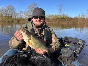 Largemouth Bass
