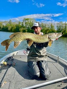 Northern Pike