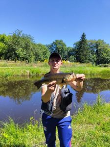 Largemouth Bass