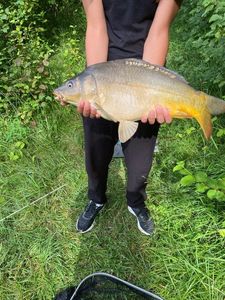 Leather Carp