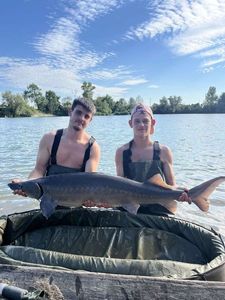 European Sturgeon