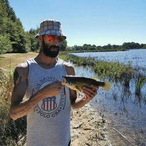 Largemouth Bass