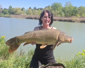 Common Carp