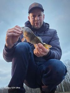 European Perch