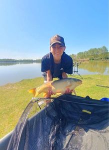 Mirror Carp