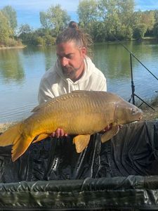 Mirror Carp