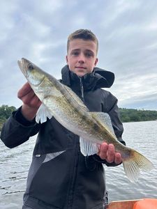 Zander