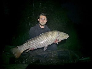 Common Carp