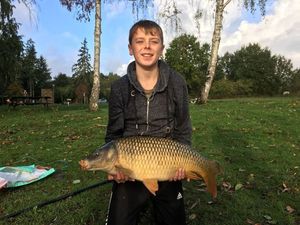 Common Carp