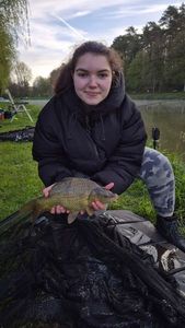 Common Carp