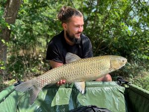 Grass Carp