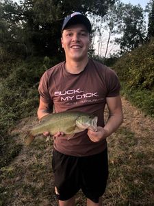 Largemouth Bass