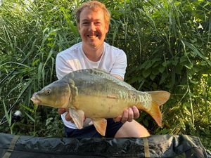 Mirror Carp