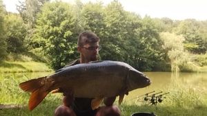 Mirror Carp