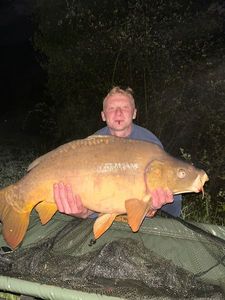 Mirror Carp