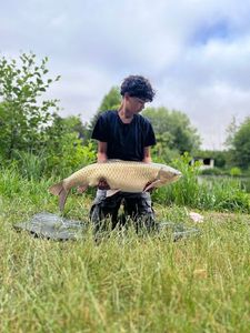 Grass Carp