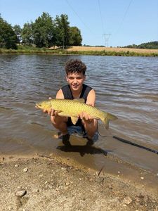 Grass Carp