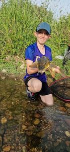 Barbel