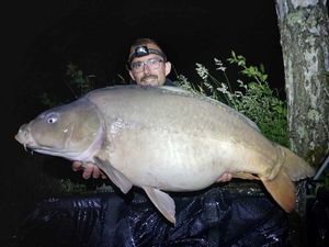 Mirror Carp
