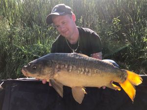 Mirror Carp