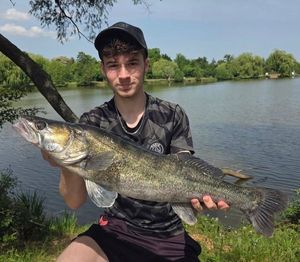 Zander