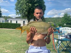 Common Carp