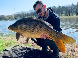 Common Carp