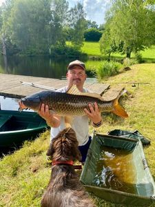 Common Carp