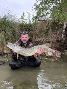 Northern Pike
