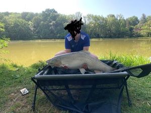 Silver Carp