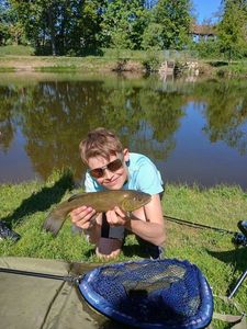 Tench