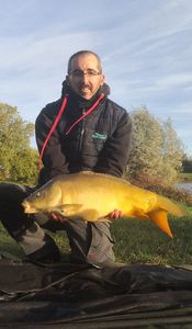 Mirror Carp