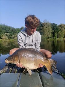 Mirror Carp