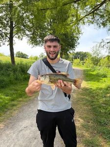 Largemouth Bass