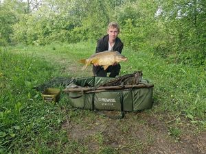 Mirror Carp