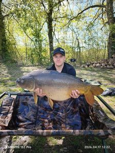 Mirror Carp
