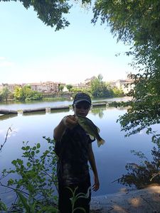 Largemouth Bass
