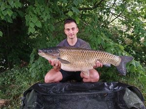 Grass Carp
