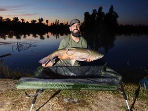 Grass Carp
