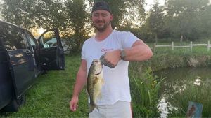 Largemouth Bass