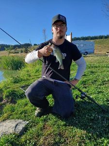 Largemouth Bass